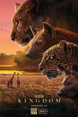 《动物王国2025》：未来世界人兽进化！科幻巨制揭秘末日生存法则！