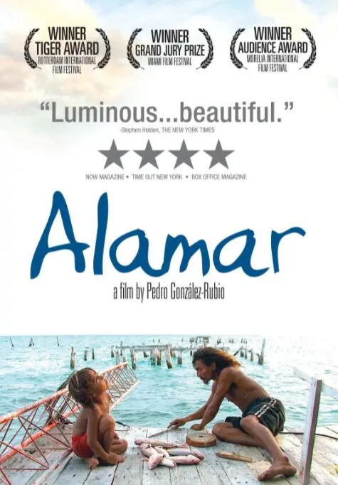 《拥抱大海》：失意人生在海边绽放的治愈诗篇，那些关于勇气、爱与新生的温暖故事